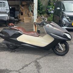 大人気　マグザムの画像