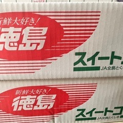 とうもろこし