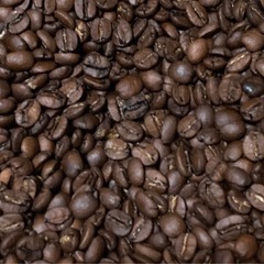 ウーゾのコーヒー塾