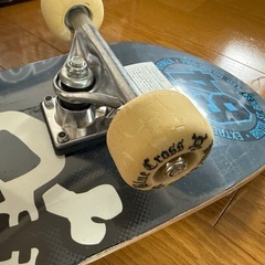 ブルークロス 非売品 スケボー プロテクターセット　要ローラー交換の画像
