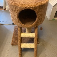 猫用品