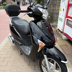 HONDA リード110 商談中の画像
