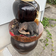 🌟無料で差し上げます‼️置き物🌟の画像