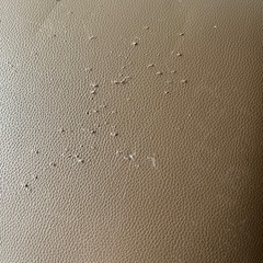 シューズボックスの画像