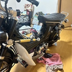 シャリー(88cc)の画像