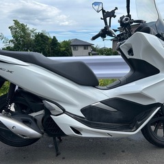 【動画あり】PCX125 JF81 14,000km グリップヒーター自賠責付きの画像