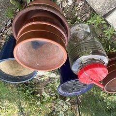 果実酒瓶　花瓶の画像