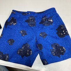 184 
LE CIEL BLEU ショートパンツの画像