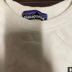 patagonia パタゴニア 中古 古着 トレーナー 薄手の画像
