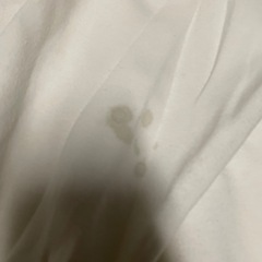 patagonia パタゴニア 中古 古着 トレーナー 薄手の画像