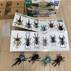 【まとめ売り】アニア　昆虫大決戦スタジアム　& 世界の昆虫王者セットの画像