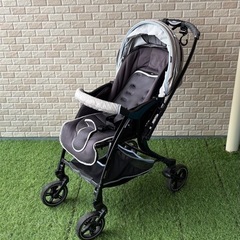 Pigeon ピジョン　A形シングルタイヤベビーカー　Runfee RA9（ランフィ RA9）　シェリグレー の画像