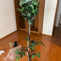 フェイクリーフ