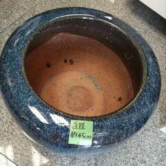 京都府のメダカ鉢の中古が安い！激安で譲ります・無料であげます