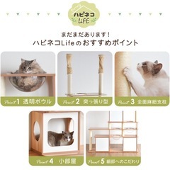中古　木製突っ張り式大型キャットタワー 幅160cm高さ230〜253cm 多頭飼におすすめ⭐︎の画像
