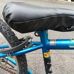自転車 男の子 ２２インチの画像