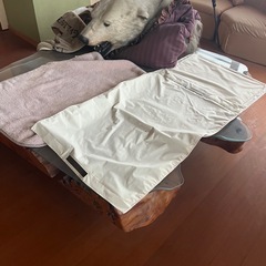 屋久杉テーブルの画像