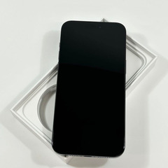 iPhone 15 Pro Max｜1024gb｜SIMフリーの画像