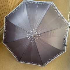 ネコ　長傘の画像
