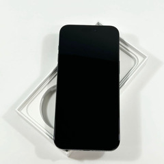 iPhone 15 Pro Max｜1024gb｜SIMフリーの画像