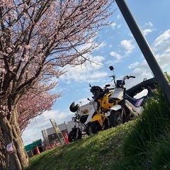 ヨンミニ