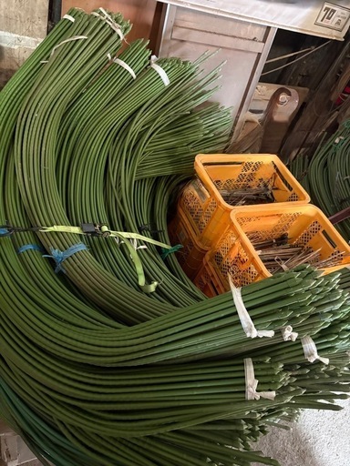 支柱（レタス栽培用）長さ200㎝2500本