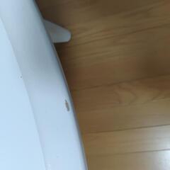 【4日〜11日】イケアの白い丸テーブルの画像