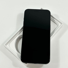iPhone 15 Pro Max｜1024gb｜SIMフリーの画像