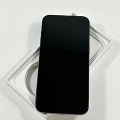 iPhone 15 Pro Max｜1024gb｜SIMフリーの画像