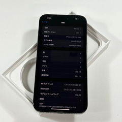 iPhone 15 Pro Max｜1024gb｜SIMフリーの画像