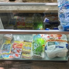 値下げ　新品　水槽　アクアセットの画像