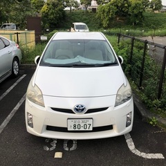 トヨタ　プリウス　2011 Toyota Prius の画像