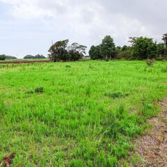 茨城県鹿嶋市大字神向寺新畑の畑用地です。 残り5区画、広さ…