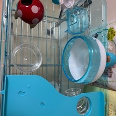 ハムスター ルーミィ ゲージ 飼育セットの画像
