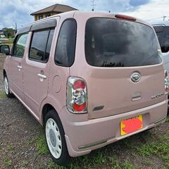 早い者勝ち❗　人気のココア❗　練習用に❗の画像