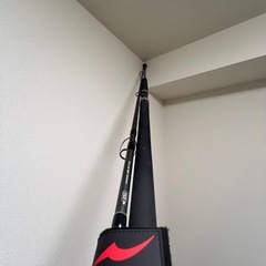 APIAグランデージアトラス100HHの画像