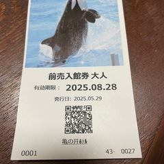鴨川シーワールド入館券大人１枚