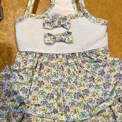 犬服　2枚セット　4Sの画像