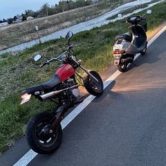 エイプ