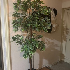 IKEA フェイクグリーン　人工観葉植物