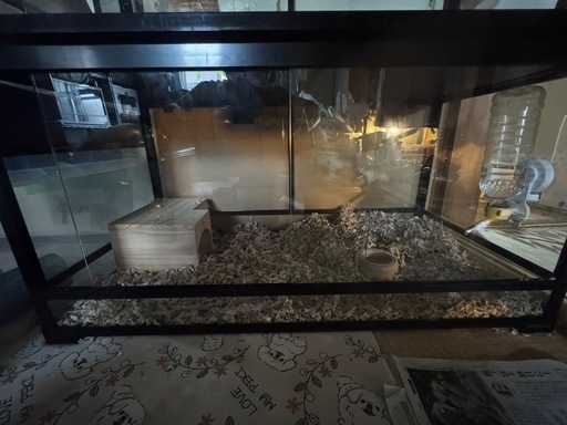 パンテオン ゲージ 900×450