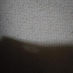 〈委託品〉カーディガンの画像