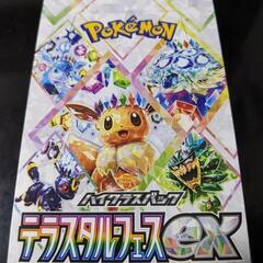 新品　未開封　シュリンク無し　テラスタルフェスex  1BOX