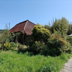 130坪の広大な土地　キャンプ用に　賃貸2.5万円　の画像