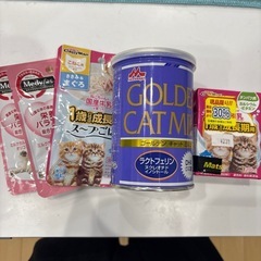 子猫用ミルク離乳食