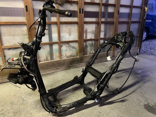 ホンモノタイケツ Amazon.co.jp: タイガーゼンタイ ケモノ系 02 しっぽ付き 虎 寅