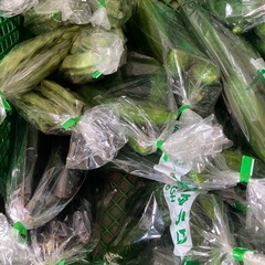 【江南市】🥬【やさい無人販売所】🥬✨次回7月4日(金)朝8:00から❗️雨天決行 − 愛知県