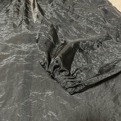 シースルーバルーンスリーブの画像