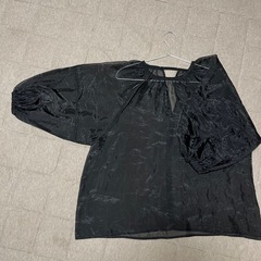 シースルーバルーンスリーブの画像
