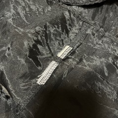 シースルーバルーンスリーブの画像